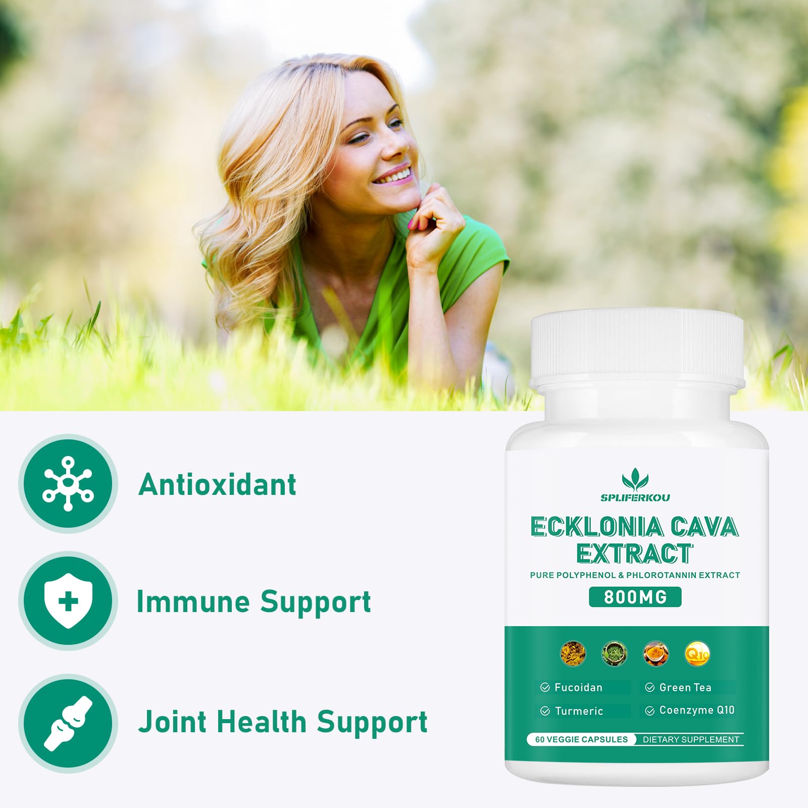 Spliferikou Ecklonia Cava Extract, 800mg, 60 Veggie Capsules with Fucoidan, Green Tea, Turmeric, CoQ10, Dietary Supplement - dailyvitalstore