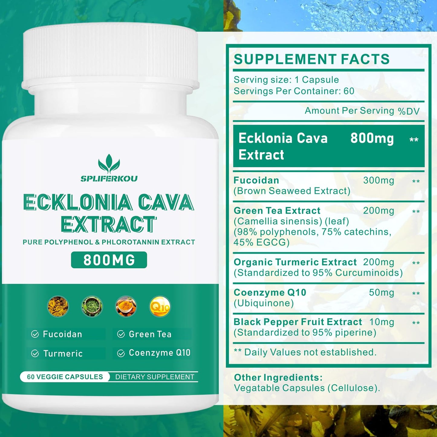 Spliferikou Ecklonia Cava Extract, 800mg, 60 Veggie Capsules with Fucoidan, Green Tea, Turmeric, CoQ10, Dietary Supplement - dailyvitalstore