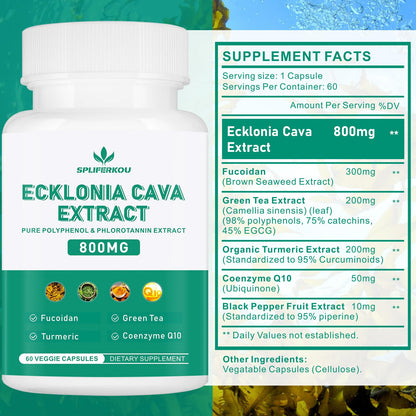 Spliferikou Ecklonia Cava Extract, 800mg, 60 Veggie Capsules with Fucoidan, Green Tea, Turmeric, CoQ10, Dietary Supplement - dailyvitalstore