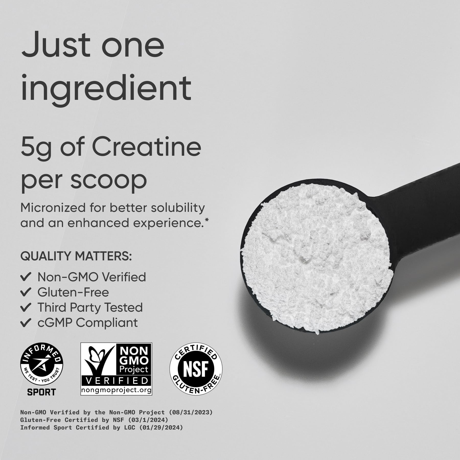 Sports Research Creatine Monohydrate - Gain Lean Muscle, Improve Performance and Strength and Support Workout Recovery* - 5 g Micronized Creatine - 17.64 oz - dailyvitalstore
