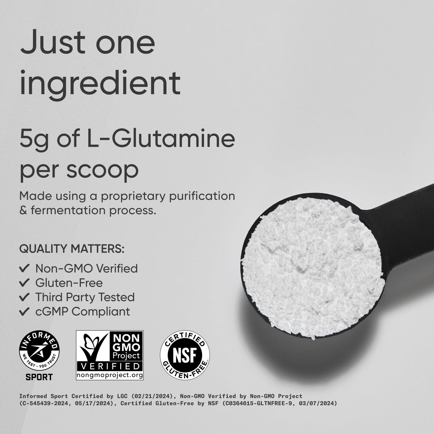 Sports Research L-Glutamine - Workout Recovery, Immune Health & Gut Health Support - 5 G Per Serving - 10.58 Oz - dailyvitalstore