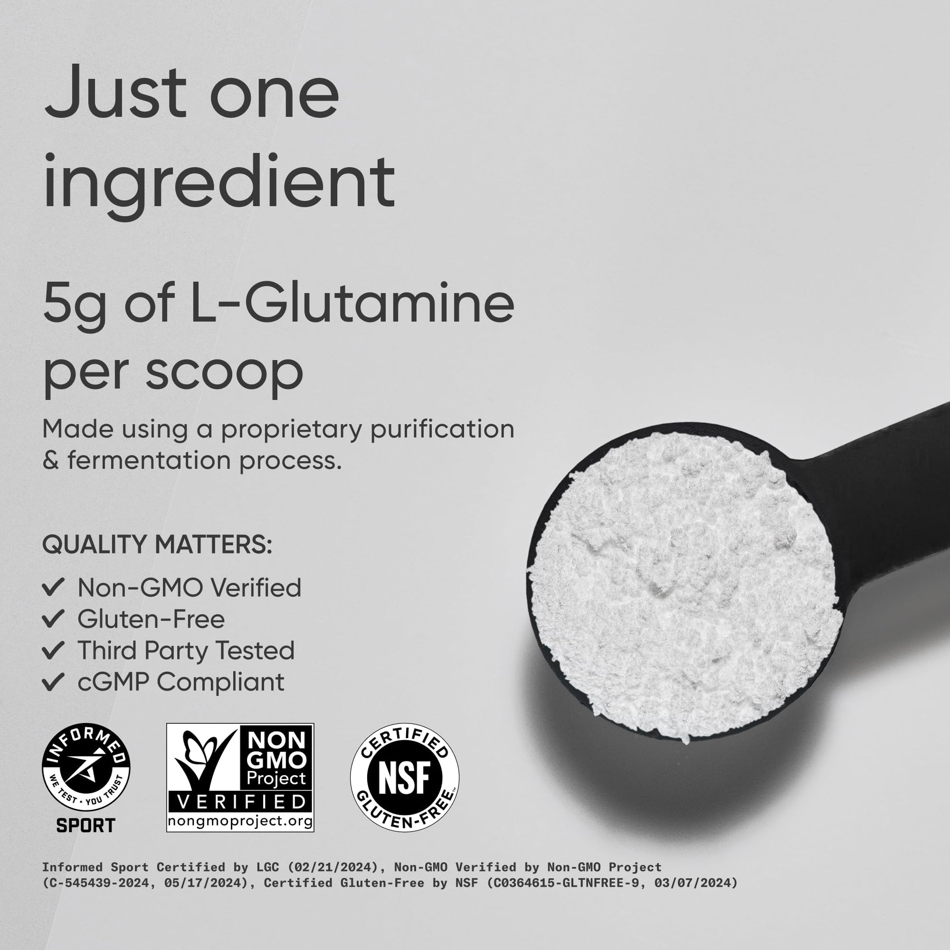 Sports Research L-Glutamine - Workout Recovery, Immune Health & Gut Health Support - 5 G Per Serving - 10.58 Oz - dailyvitalstore