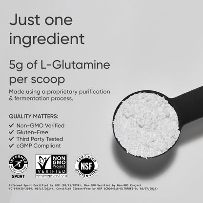 Sports Research L-Glutamine - Workout Recovery, Immune Health & Gut Health Support - 5 G Per Serving - 10.58 Oz - dailyvitalstore