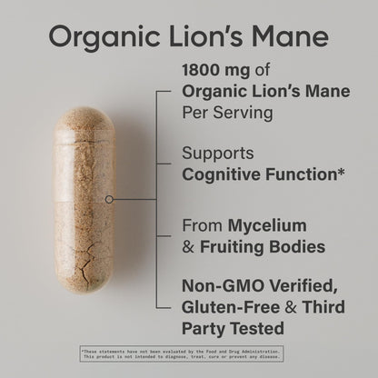 Sports Research® Organic Lion's Mane Mushroom Supplement 1800mg - Brain Health, Focus & Cognitive Supports - USDA Certified Organic · Non-GMO · Vegan - 90 Count Capsules - dailyvitalstore