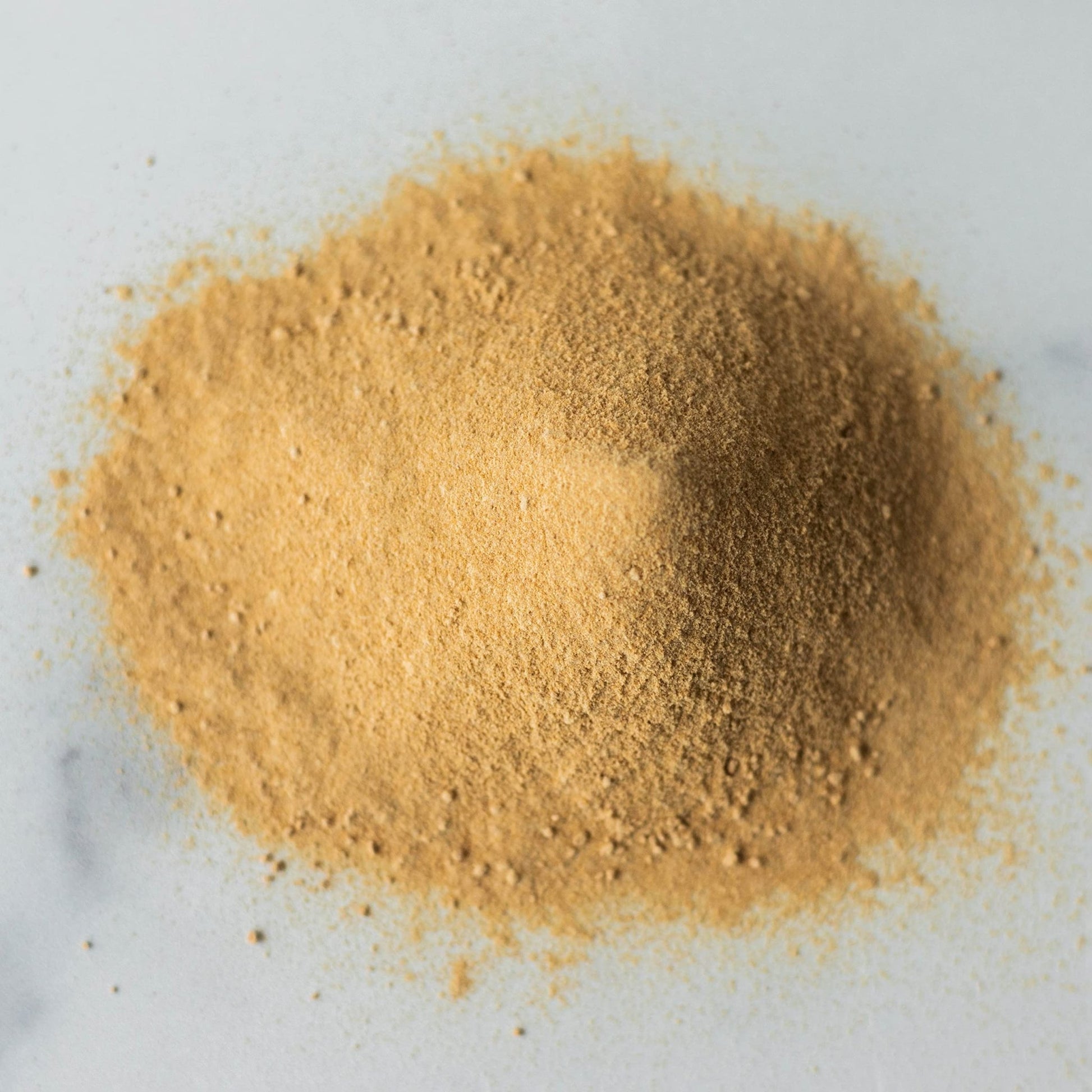 Sprout Living Organic Gelatinized Maca Root Powder, Superfood, Adaptogen, 1 lb - dailyvitalstore
