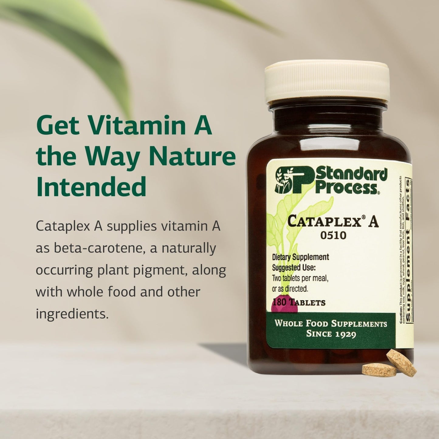 Standard Process Cataplex A - Supports Eye Health & Mucous Membranes - Supports Healthy Vision & Provides Antioxidant Vitamin A - Non-Dairy & Non-Soy - 180 Tablets - dailyvitalstore