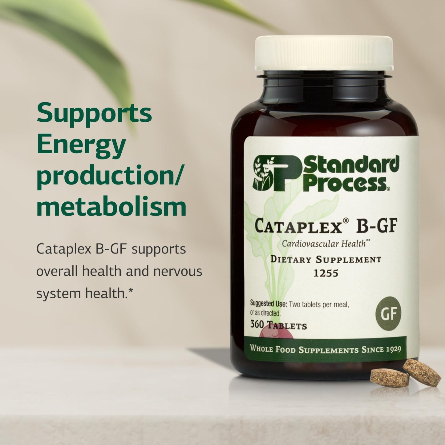 Standard Process Cataplex B-GF - Supports Nervous System Health - B Vitamins for Energy & Heart Support - Aids Energy During Physical Activity - Gluten-Free, Non-Soy & Non-Dairy - 360 Tablets - dailyvitalstore