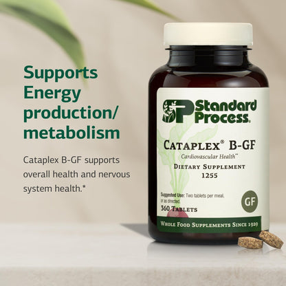 Standard Process Cataplex B-GF - Supports Nervous System Health - B Vitamins for Energy & Heart Support - Aids Energy During Physical Activity - Gluten-Free, Non-Soy & Non-Dairy - 360 Tablets - dailyvitalstore