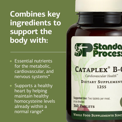 Standard Process Cataplex B-GF - Supports Nervous System Health - B Vitamins for Energy & Heart Support - Aids Energy During Physical Activity - Gluten-Free, Non-Soy & Non-Dairy - 360 Tablets - dailyvitalstore