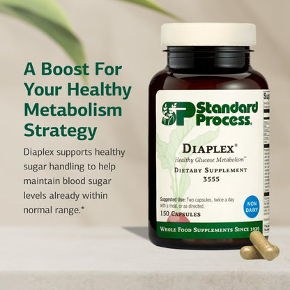 Standard Process Diaplex - Supplement for Pancreas & Gallbladder Support - Contains Chromium & Antioxidant Vitamin A - dailyvitalstore