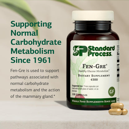 Standard Process Fen-Gre - Supports Respiratory Support & Healthy Metabolism - Aids Healthy Levels of Mucus & Phlegm - Supports Lung Health & Bronchial Tubes - Gluten-Free & Non-Dairy - 150 Capsules - dailyvitalstore