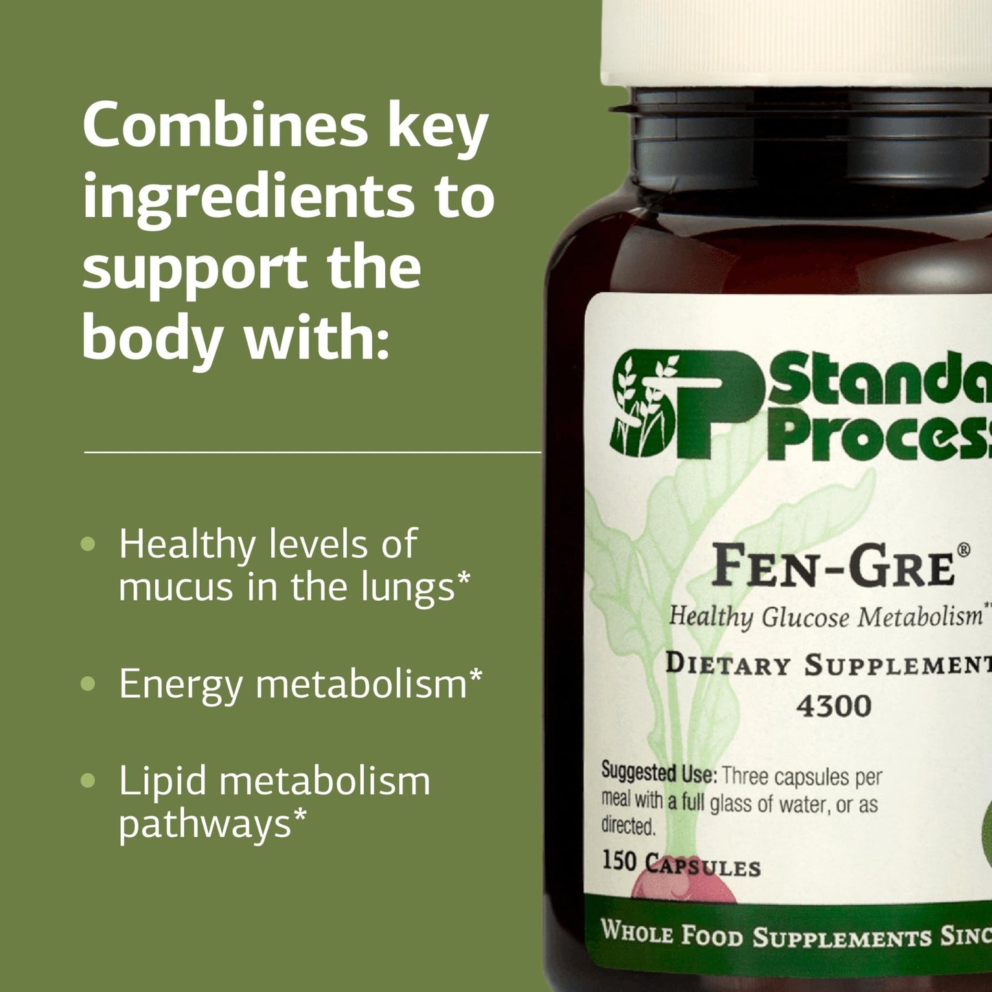 Standard Process Fen-Gre - Supports Respiratory Support & Healthy Metabolism - Aids Healthy Levels of Mucus & Phlegm - Supports Lung Health & Bronchial Tubes - Gluten-Free & Non-Dairy - 150 Capsules - dailyvitalstore