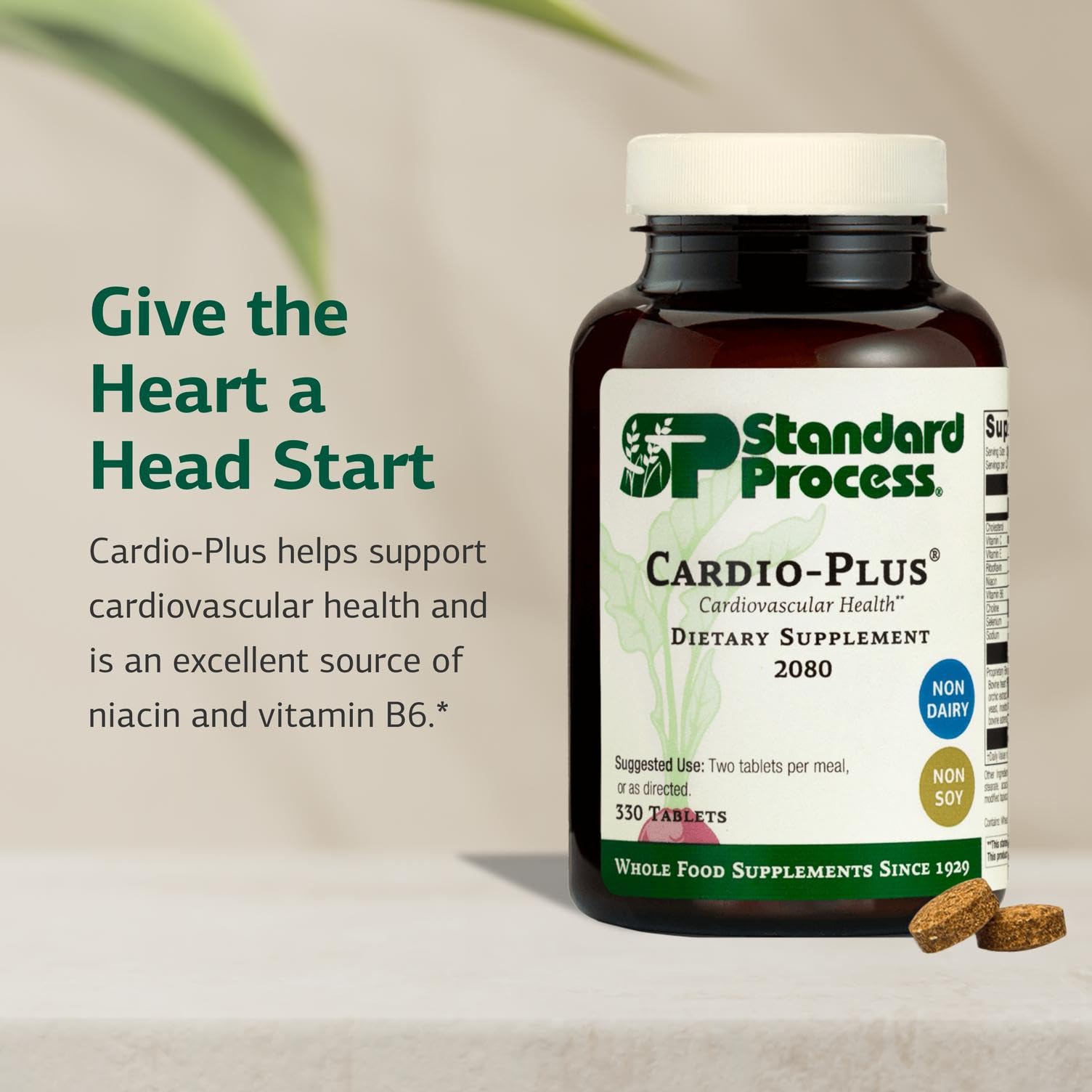 Standard Process Inc. Cardio-Plus - Antioxidant Support - Heart Health, Circulation & Blood Flow Supplement with Vitamin B6, Niacin & Riboflavin - Energy Metabolism Supplement - 330 Tablets - dailyvitalstore