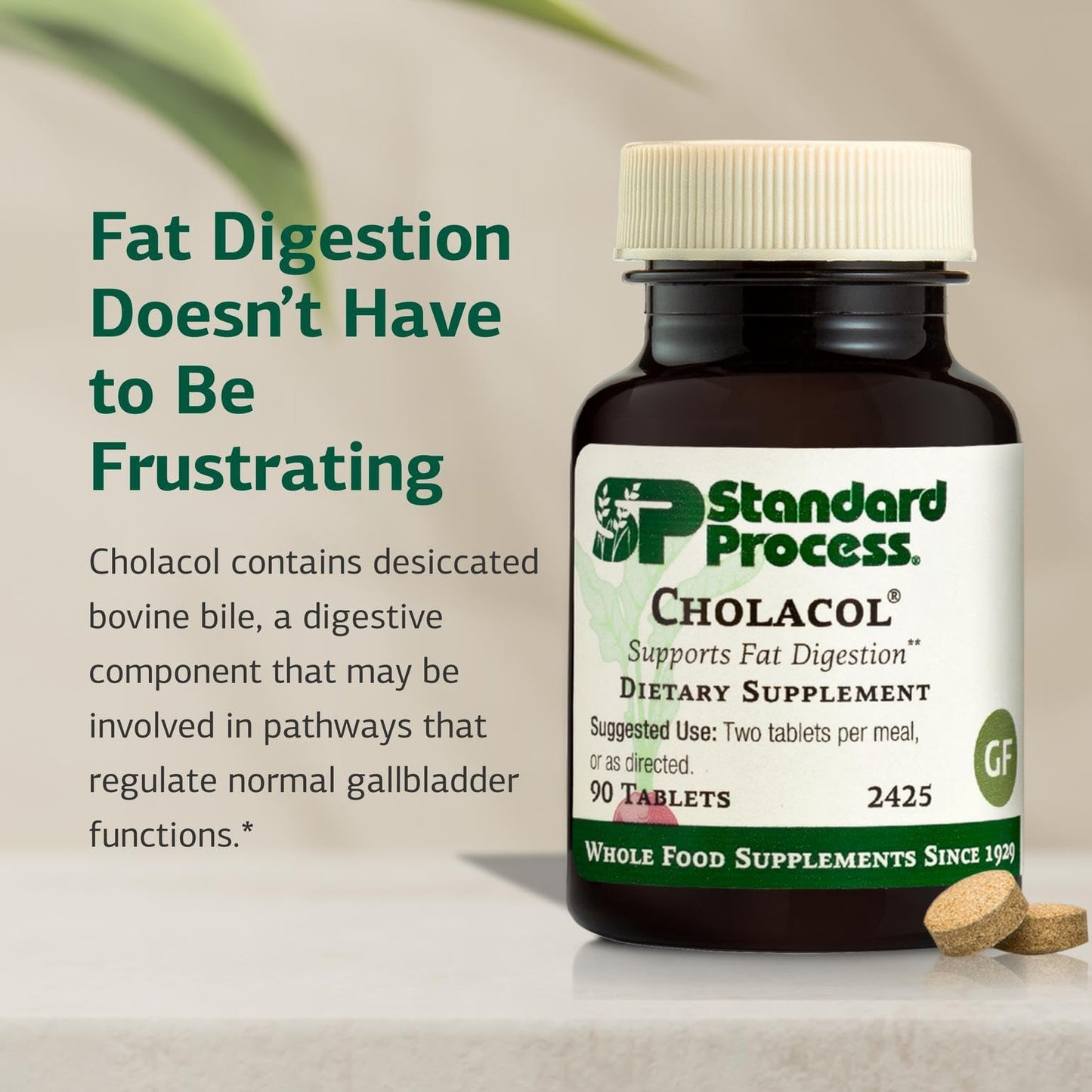 Standard Process Inc. Cholacol - Gallbladder Support Supplement - Fat Digestion Supplement for Digestive Health & Bile Support - dailyvitalstore