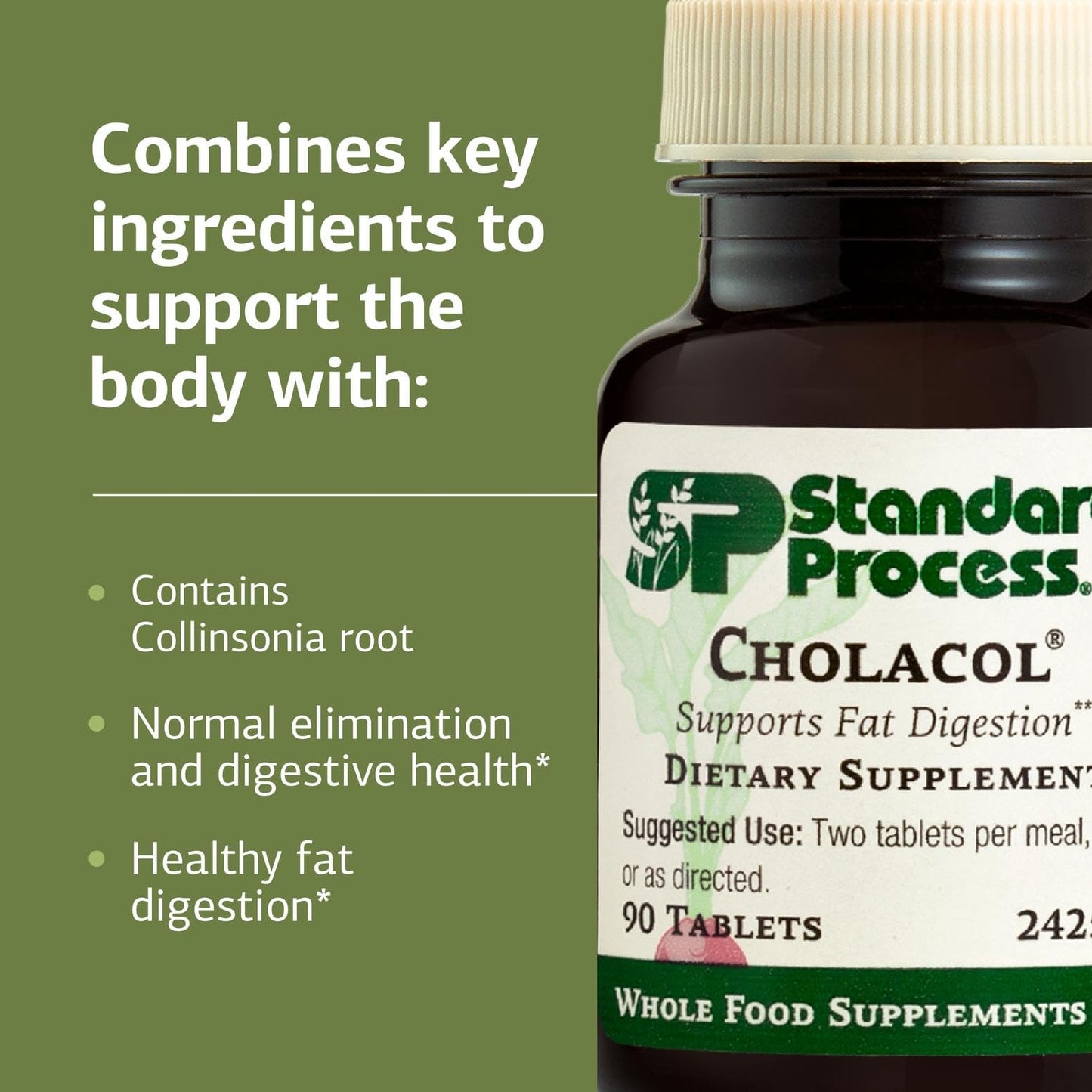 Standard Process Inc. Cholacol - Gallbladder Support Supplement - Fat Digestion Supplement for Digestive Health & Bile Support - dailyvitalstore
