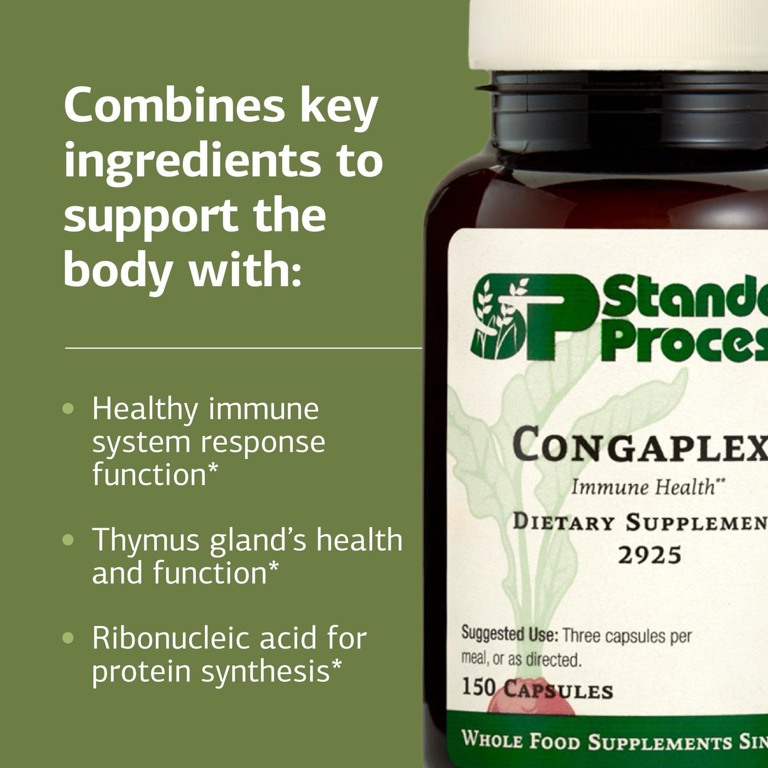 Standard Process Inc. Congaplex - Thymus Gland Support Supplement - Immune Health with Calcium Lactate, Magnesium, Vitamin C & Vitamin A - Immune System Aid with Mushroom Powder - 150 Capsules - dailyvitalstore