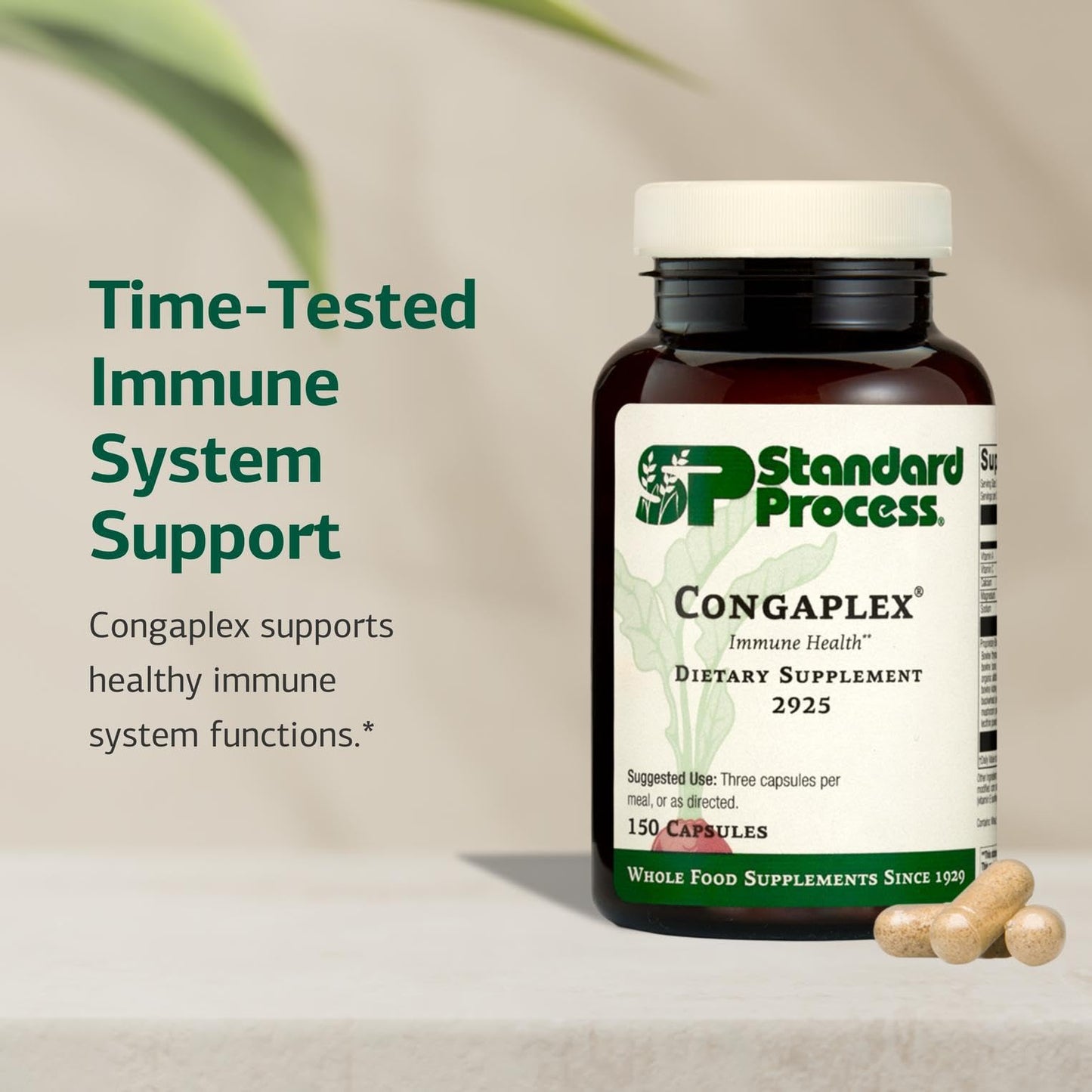 Standard Process Inc. Congaplex - Thymus Gland Support Supplement - Immune Health with Calcium Lactate, Magnesium, Vitamin C & Vitamin A - Immune System Aid with Mushroom Powder - 150 Capsules - dailyvitalstore