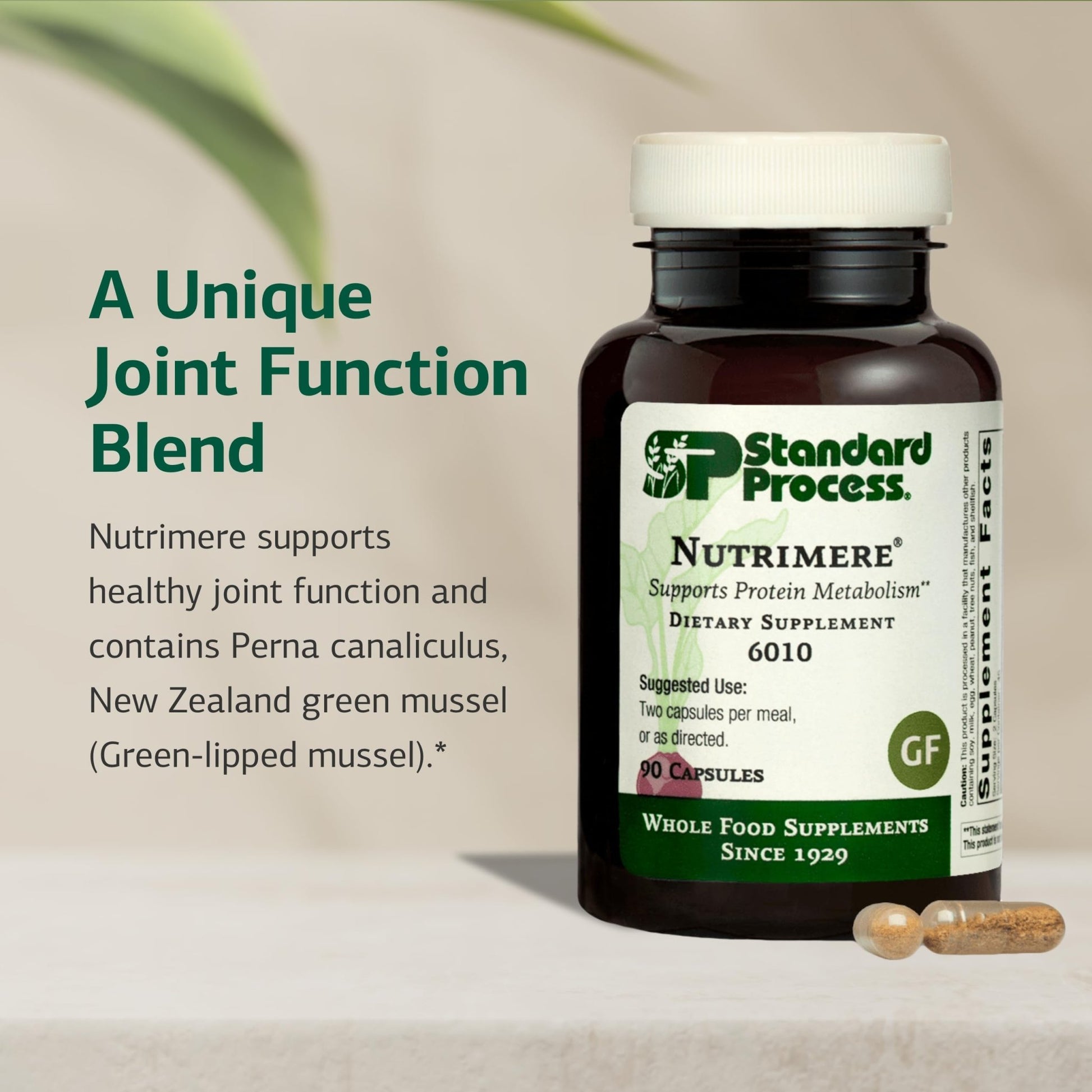 Standard Process Nutrimere - Supports Joint Health - Joint Supplement with Perna Canaliculus & New Zealand Green Mussel - Gluten-Free, Non-Soy & Non-Dairy - 90 Capsules - dailyvitalstore