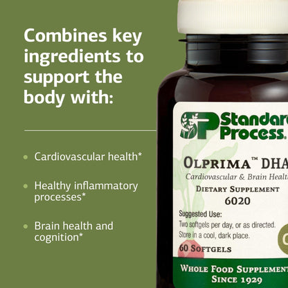 Standard Process Olprima DHA - Omega-3 Supplement for Heart & Brain Health - Gluten-Free, Non-Dairy & Non-Soy - 60 Softgels (30 Servings) - dailyvitalstore
