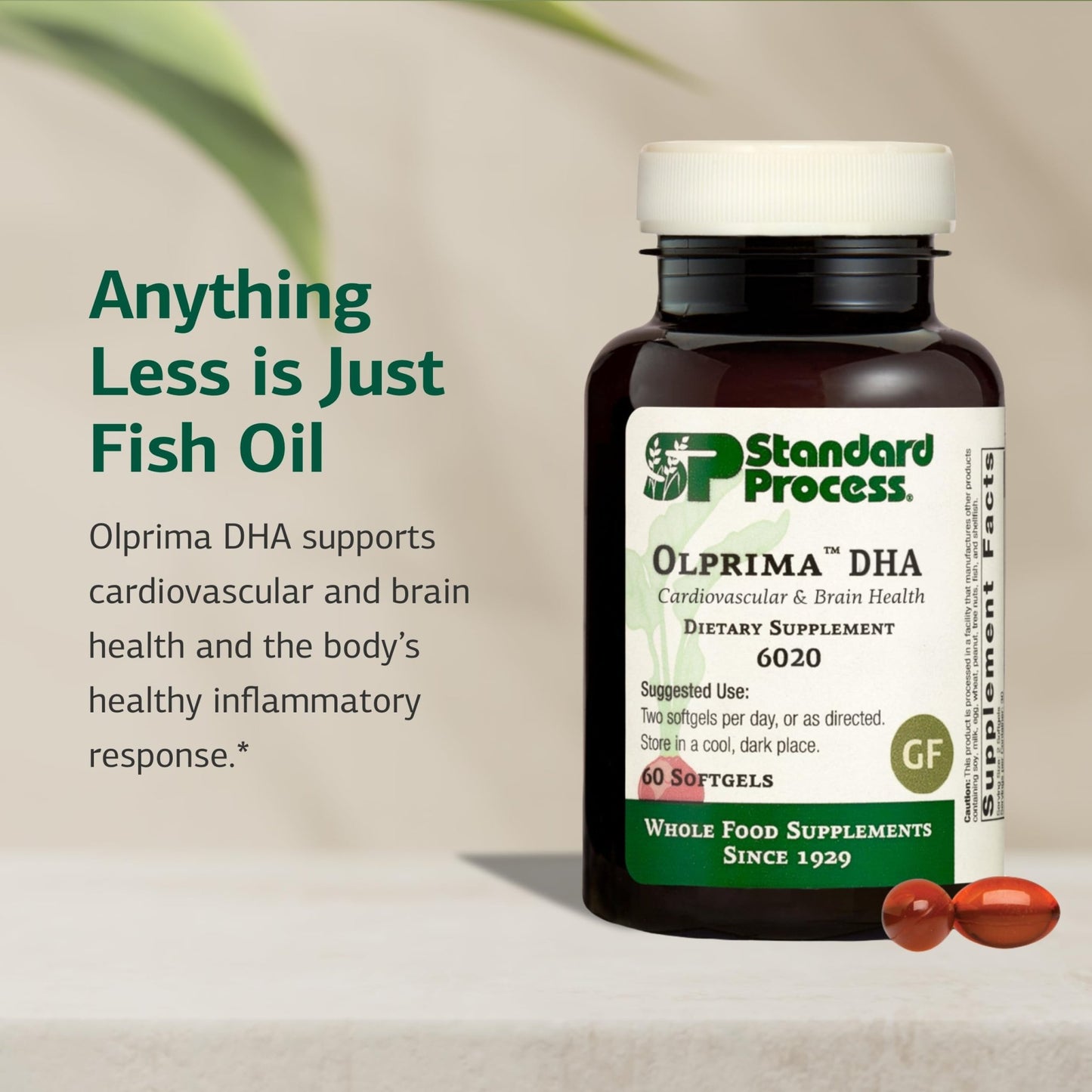 Standard Process Olprima DHA - Omega-3 Supplement for Heart & Brain Health - Gluten-Free, Non-Dairy & Non-Soy - 60 Softgels (30 Servings) - dailyvitalstore