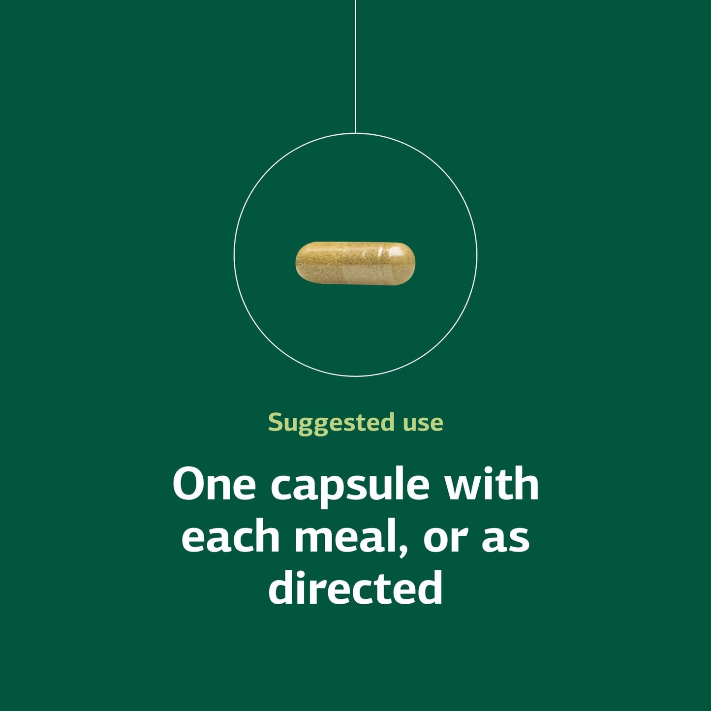 Standard Process Ostarplex - Dietary Supplement for Connective Tissue Health - Aids Liver Health & Function - Contains Vitamin B6 - Non-Dairy - 90 Capsules (90 Servings) - dailyvitalstore