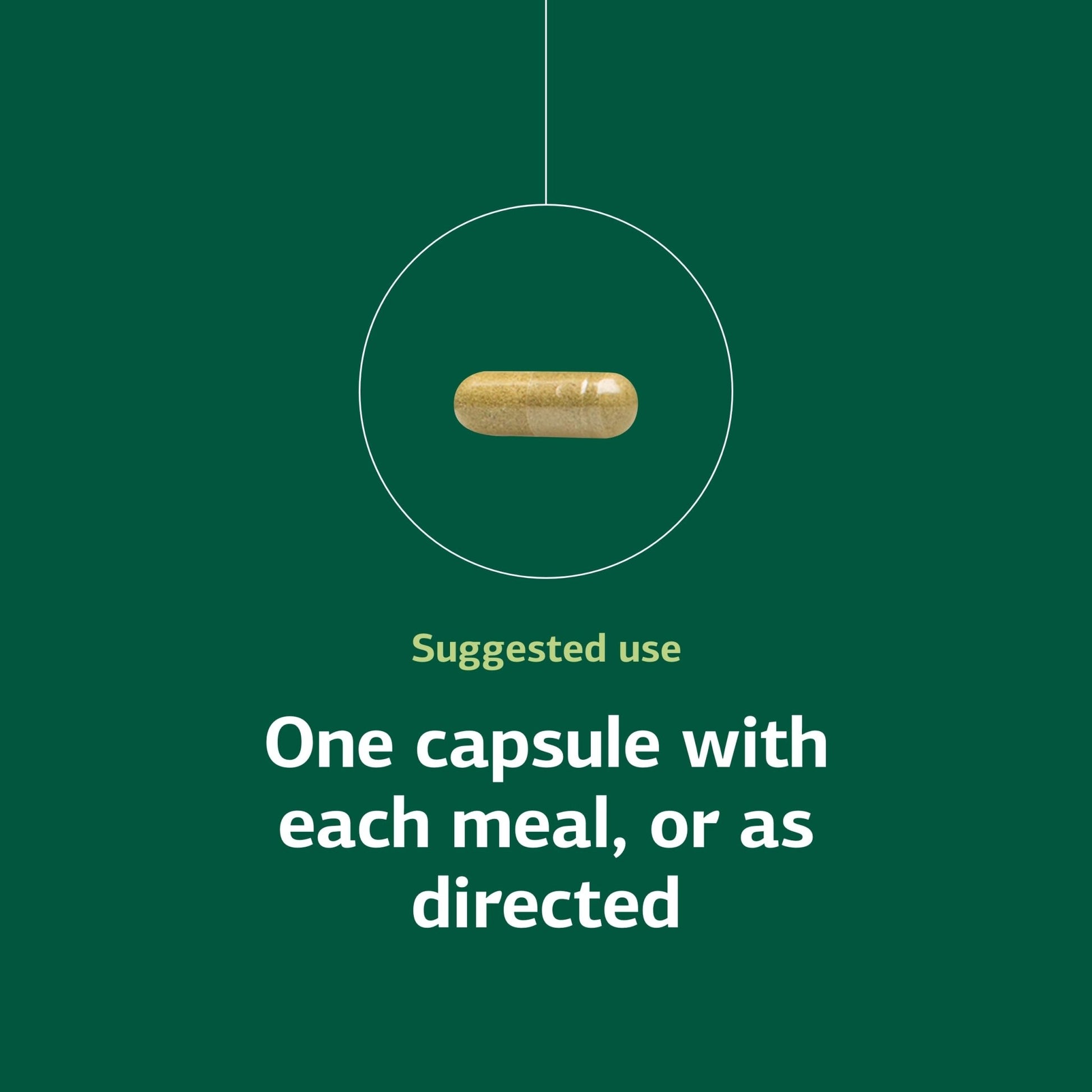 Standard Process Ostarplex - Dietary Supplement for Connective Tissue Health - Aids Liver Health & Function - Contains Vitamin B6 - Non-Dairy - 90 Capsules (90 Servings) - dailyvitalstore