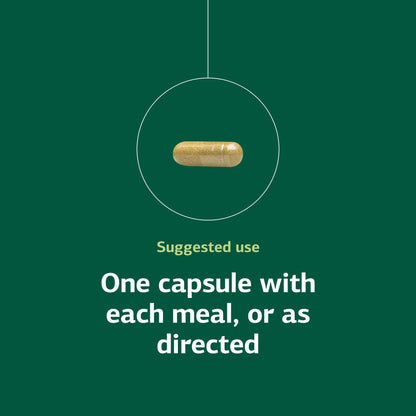 Standard Process Ostarplex - Dietary Supplement for Connective Tissue Health - Aids Liver Health & Function - Contains Vitamin B6 - Non-Dairy - 90 Capsules (90 Servings) - dailyvitalstore