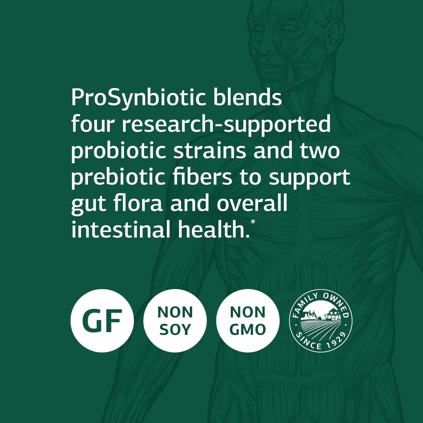 Standard Process ProSynbiotic - Whole Food Bowel, Immune Support, Digestion and Digestive Health with Bifidobacterium, Chicory Root, Lactobacillus Acidophilus, and Inulin - Vegetarian - 90 Capsules - dailyvitalstore