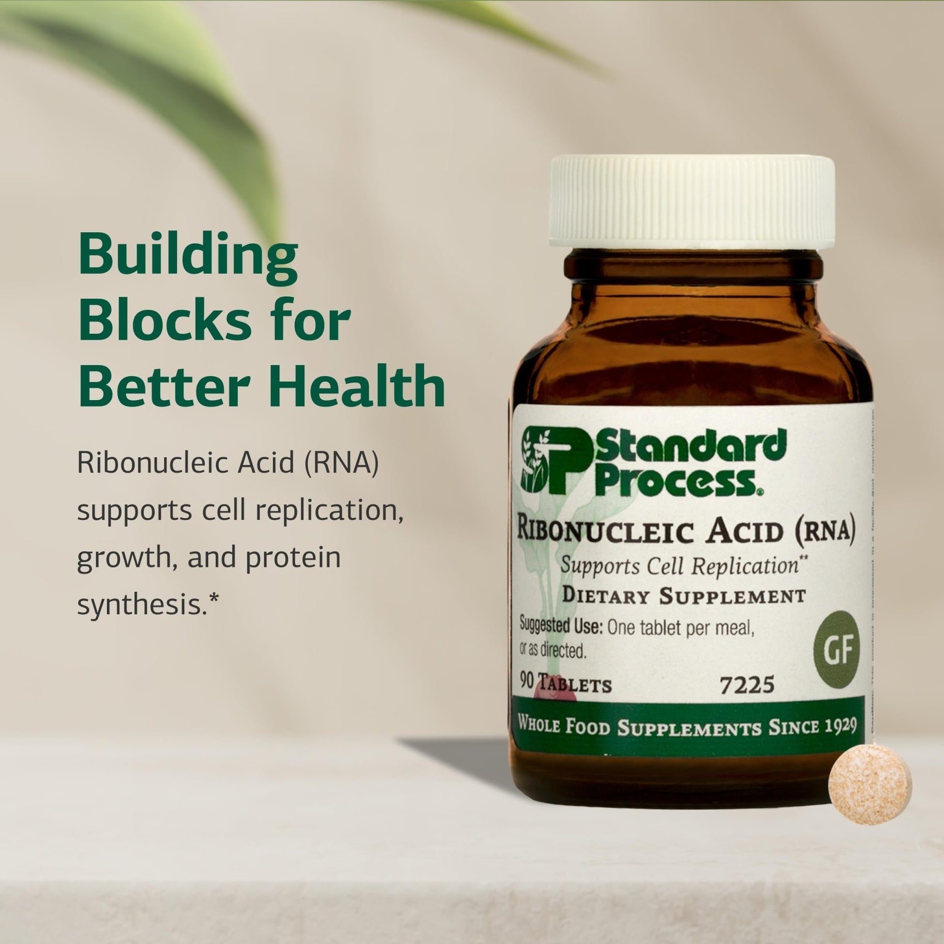 Standard Process Ribonucleic Acid RNA - Cell Development Support - Aids Protein Synthesis - Vegan, Gluten-Free, Non-Soy, & Non-Grain - 90 Tablets (90 Servings) - dailyvitalstore