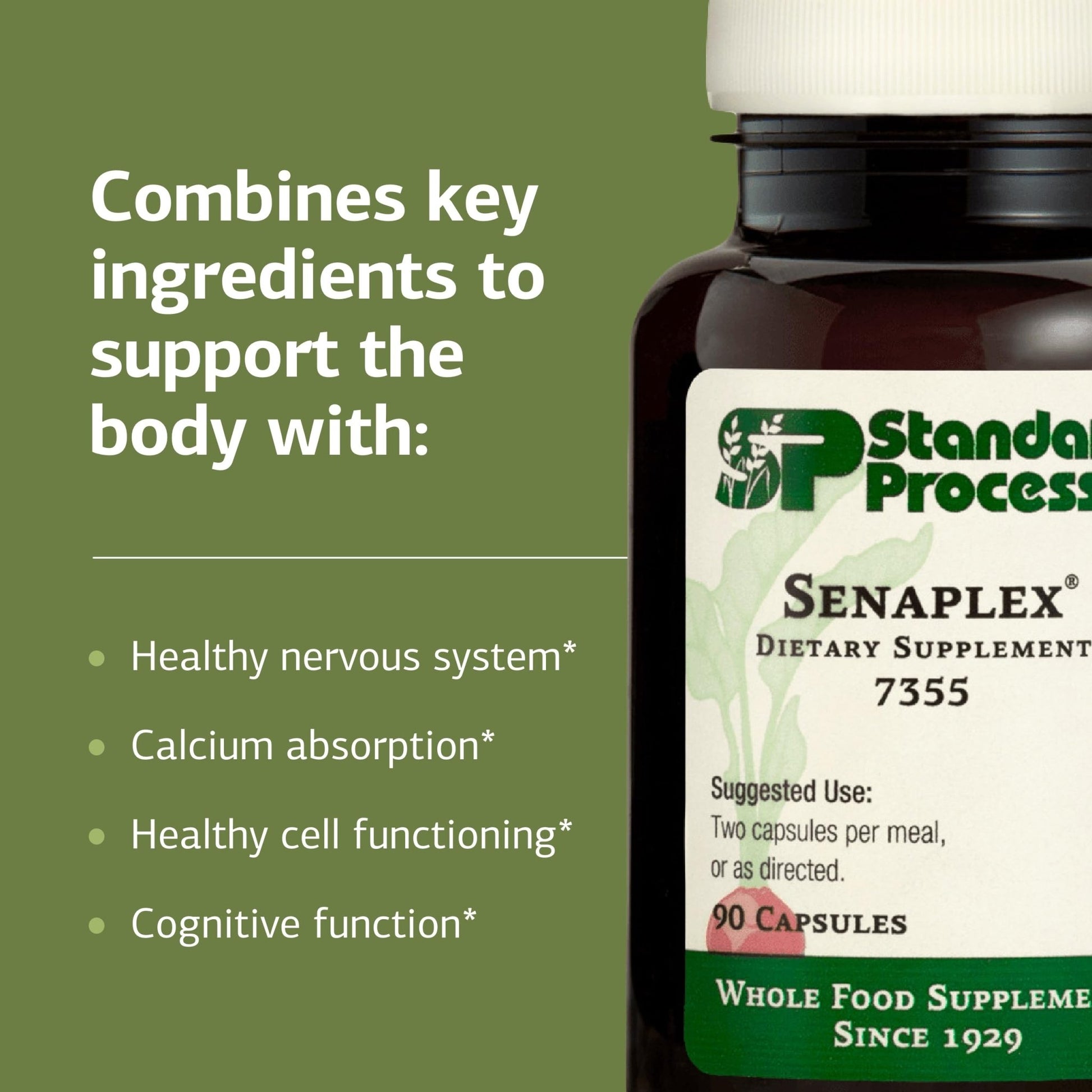 Standard Process Senaplex - Nervous System Support with Niacin, Vitamin B12 & B6 - Supports Brain Health & Cellular Health - Offers Antioxidant Activity - Non-Dairy - 90 Capsules (45 Servings) - dailyvitalstore
