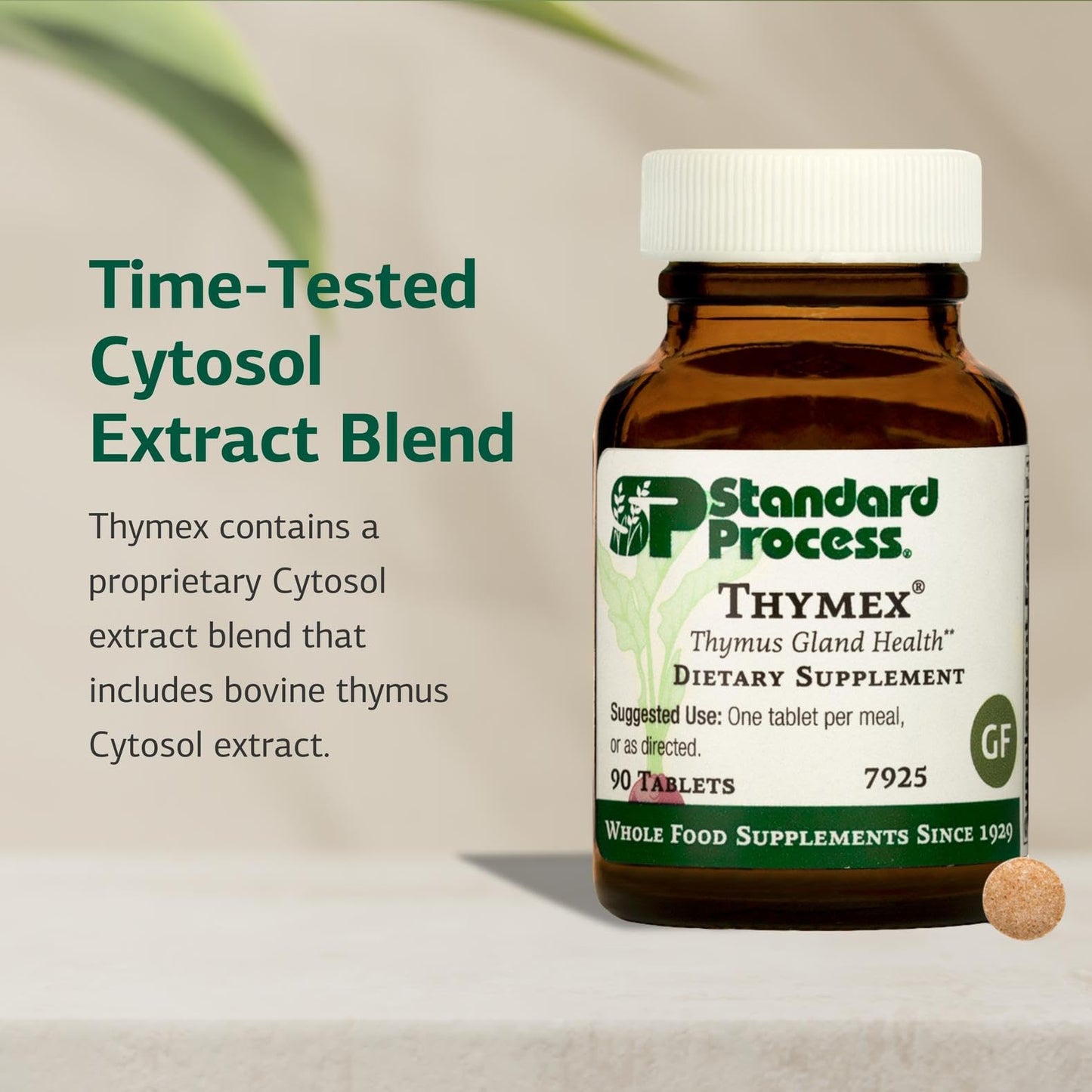 Standard Process Thymex - Cytosol Extract Dietary Supplement for Immune Health - Gluten-Free, Non-Dairy, & Non-Soy - 90 Tablets (90 Servings) - dailyvitalstore