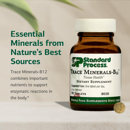 Standard Process Trace Minerals-B12 - Thyroid & Cell Functioning Support with Iodine, Zinc & Copper - Cartilage & Bone Health Aid - Non-Dairy & Non-Soy - 90 Tablets (90 Servings) - dailyvitalstore