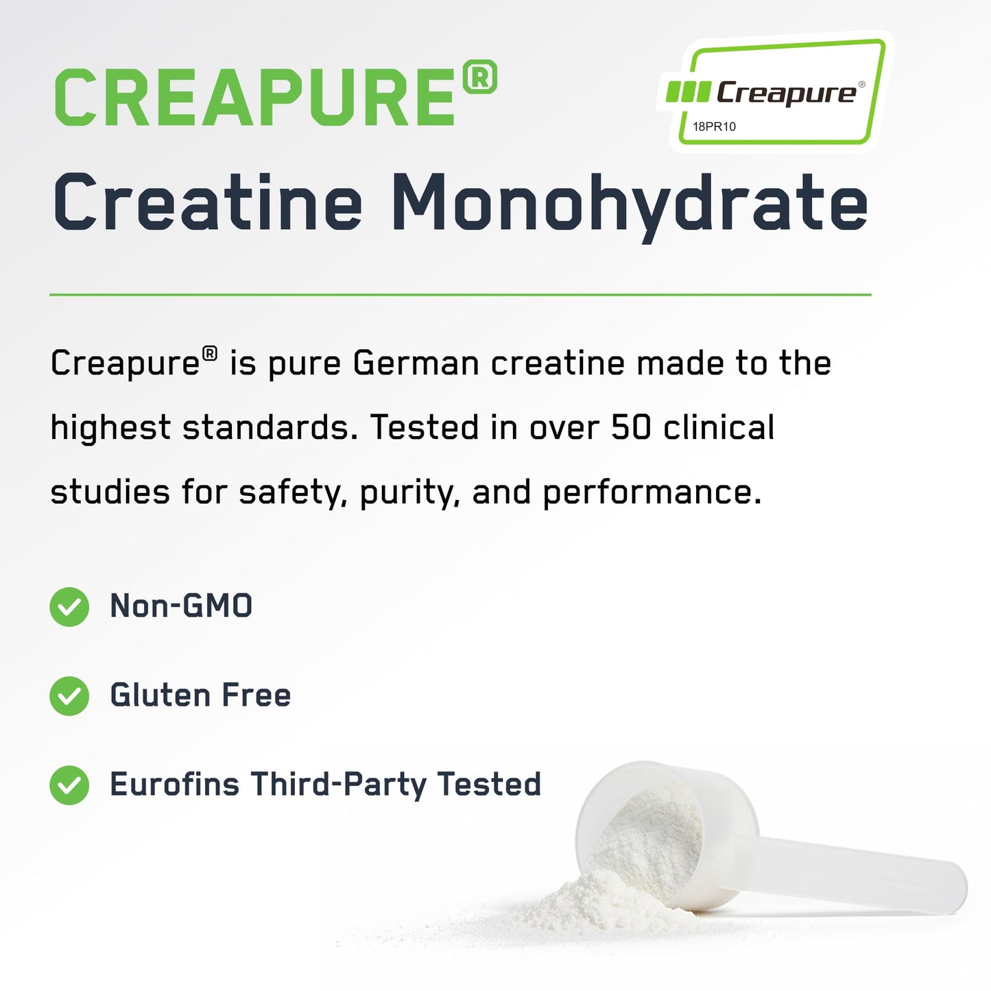 SteelFit Creapure Creatine Monohydrate Powder, Unflavored - German Micronized Creatine Powder for Men & Women - Gym Workout Nutritional Supplements for Muscle Gain - dailyvitalstore