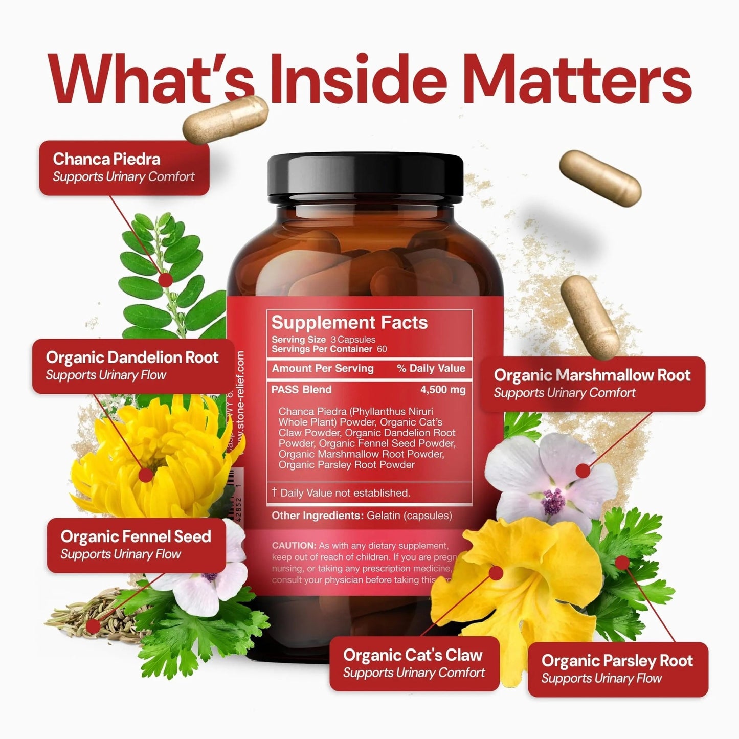 STONE RELIEF Daytime Herbal Kidney Support for Urinary Flow & Comfort | Chanca Piedra Formula – 180 Capsules - dailyvitalstore