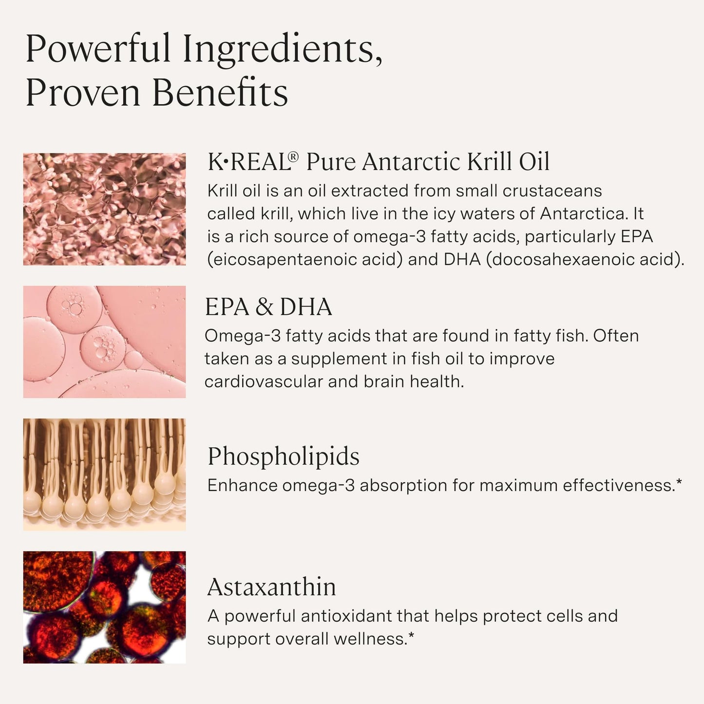 Stonehenge Health Dynamic Krill Oil 1600mg – Triple Strength Antarctic Omega-3 Supplement with EPA, DHA, Phospholipids & 2mg Astaxanthin – Supports Heart, Brain, Skin, Joint & Eye Health – 60 Softgels - dailyvitalstore