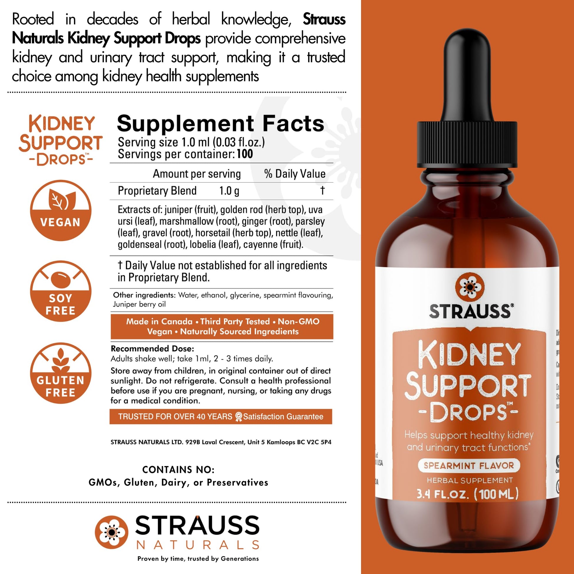 Strauss Naturals Kidney Support Drops – Herbal Kidney Support Supplement for Men and Women – Helps with Kidney Health and Urinary Tract Function – Vegan & Non-GMO – Spearmint Flavored – 100 ml Bottle - dailyvitalstore