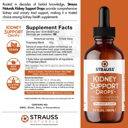 Strauss Naturals Kidney Support Drops – Herbal Kidney Support Supplement for Men and Women – Helps with Kidney Health and Urinary Tract Function – Vegan & Non-GMO – Spearmint Flavored – 100 ml Bottle - dailyvitalstore