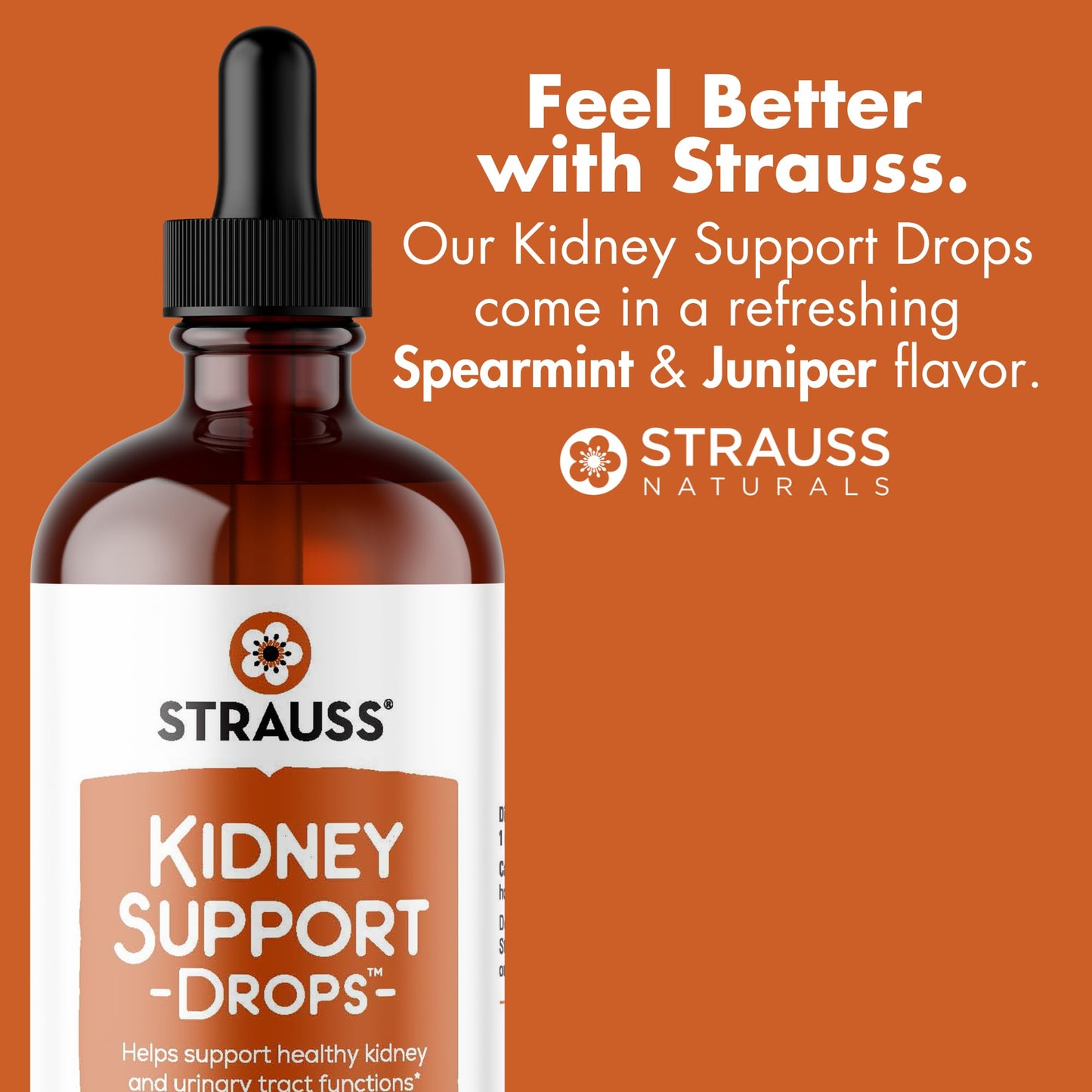 Strauss Naturals Kidney Support Drops – Herbal Kidney Support Supplement for Men and Women – Helps with Kidney Health and Urinary Tract Function – Vegan & Non-GMO – Spearmint Flavored – 100 ml Bottle - dailyvitalstore