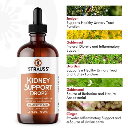 Strauss Naturals Kidney Support Drops – Herbal Kidney Support Supplement for Men and Women – Helps with Kidney Health and Urinary Tract Function – Vegan & Non-GMO – Spearmint Flavored – 100 ml Bottle - dailyvitalstore