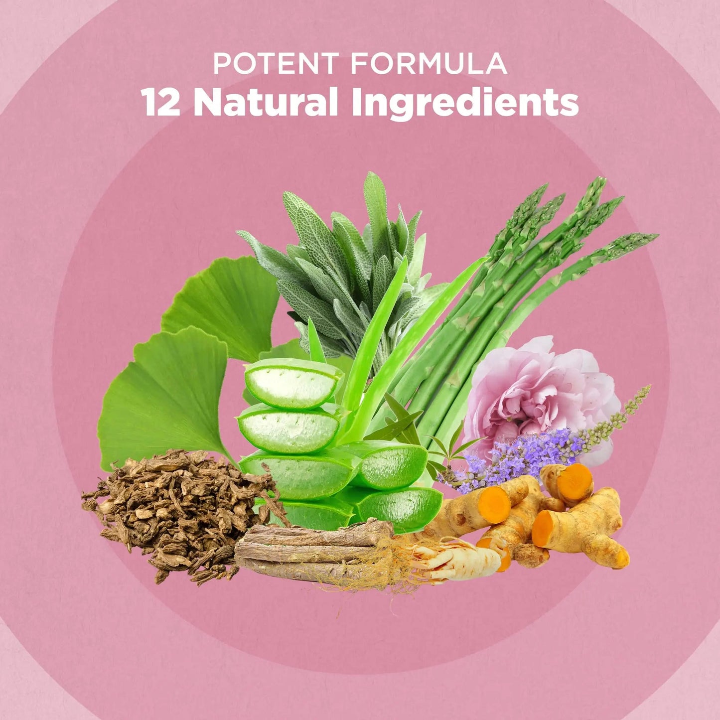Strength & Spices Hormone Balance 100% Natural Estrogen Supplement – 12 Ingredients w Dong Quai - 60 Vegan UK Made 1000mg Capsules – Fertility and Menstrual Comfort - dailyvitalstore