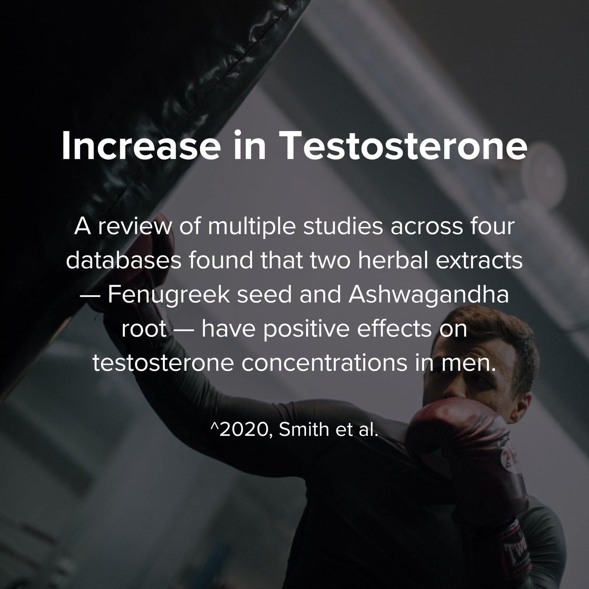 STRIVLABS Peak Potential 12-in-1 Support for Men – Fenugreek, Ashwagandha & Tongkat Ali – Natural Strength - dailyvitalstore