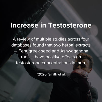 STRIVLABS Peak Potential 12-in-1 Support for Men – Fenugreek, Ashwagandha & Tongkat Ali – Natural Strength - dailyvitalstore