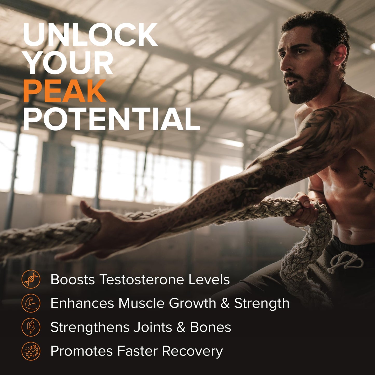 STRIVLABS Peak Potential 12-in-1 Support for Men – Fenugreek, Ashwagandha & Tongkat Ali – Natural Strength - dailyvitalstore