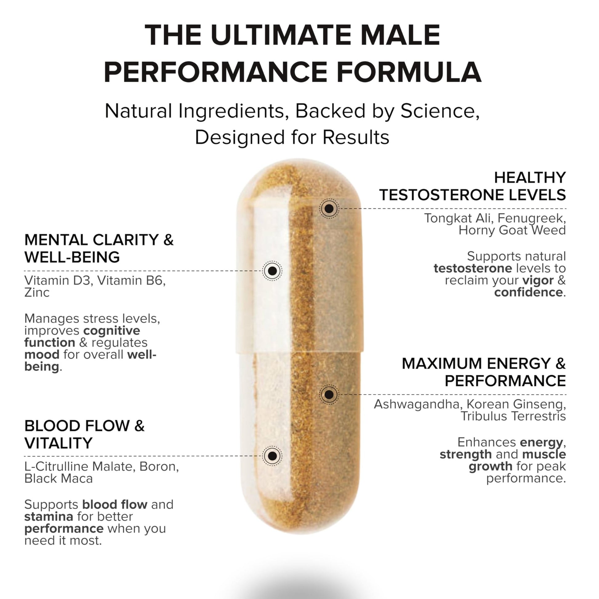 STRIVLABS Peak Potential 12-in-1 Support for Men – Fenugreek, Ashwagandha & Tongkat Ali – Natural Strength - dailyvitalstore