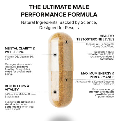 STRIVLABS Peak Potential 12-in-1 Support for Men – Fenugreek, Ashwagandha & Tongkat Ali – Natural Strength - dailyvitalstore