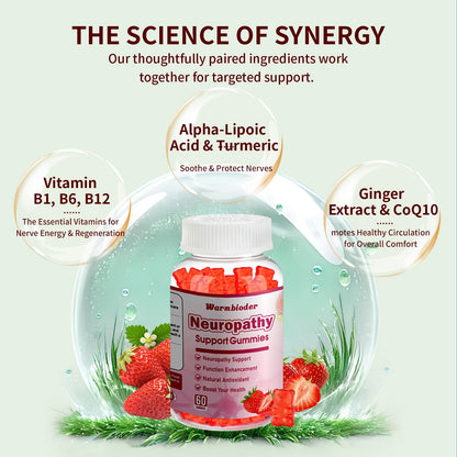 Sugar Free Neuropathy Support Gummies for Nerve – Enhanced Nerve Health, Regeneration, Cognitive Support with Vitamin B1, B6, B12, Magnesium, ALA, Turmeric, CoQ10 & More - dailyvitalstore