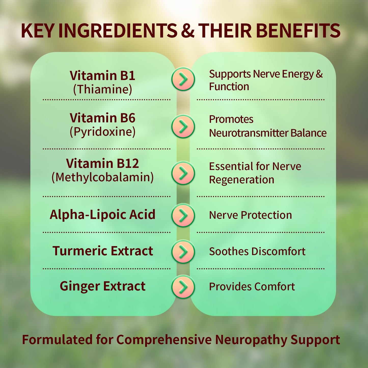 Sugar Free Neuropathy Support Gummies for Nerve – Enhanced Nerve Health, Regeneration, Cognitive Support with Vitamin B1, B6, B12, Magnesium, ALA, Turmeric, CoQ10 & More - dailyvitalstore