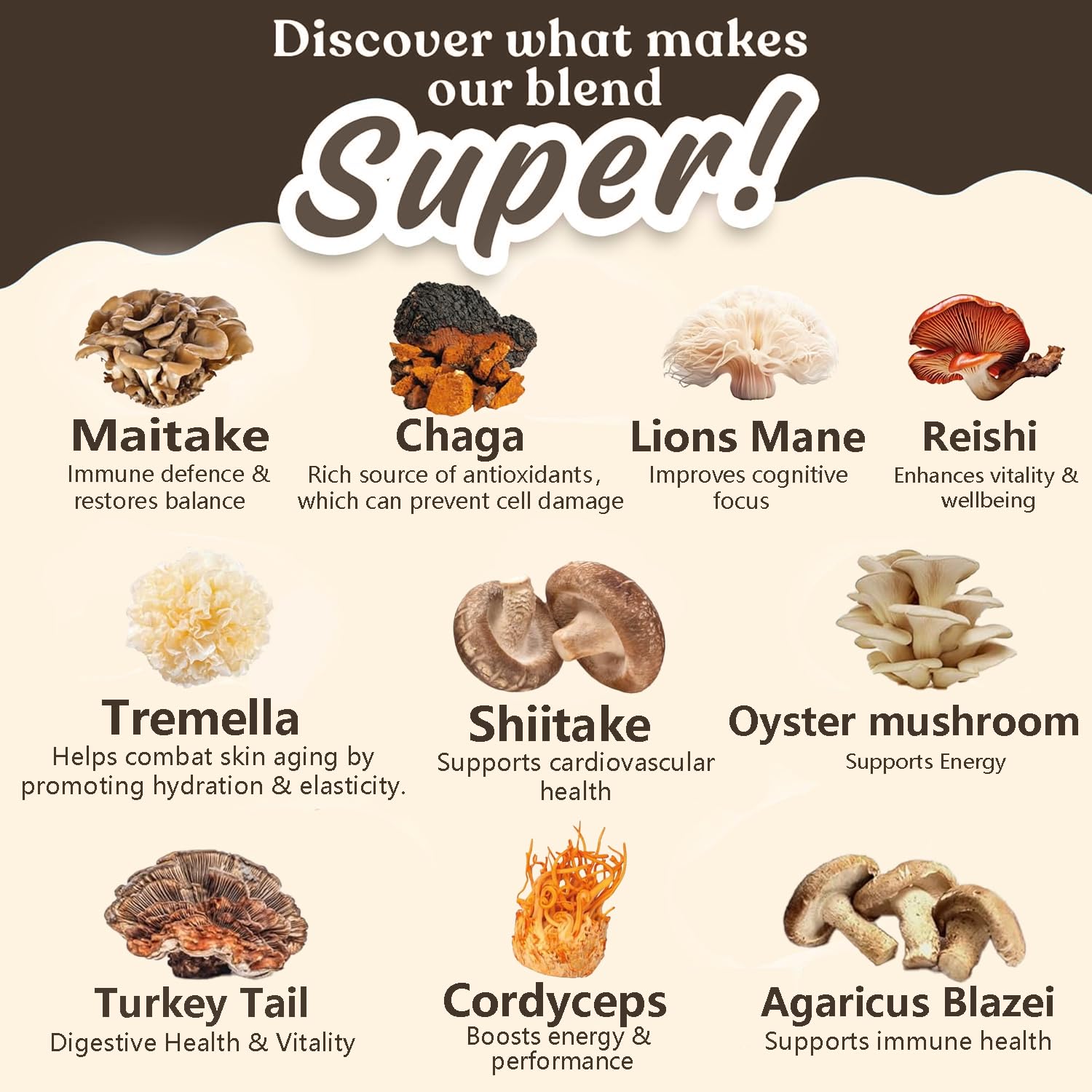 Suiyilary 10 Mushroom Coffee with Arabica w, Lion's Mane, Reishi, Mushroom Polysaccharides & More, Instant Mushrooms Powder for Focus, Immunity Boost, - dailyvitalstore