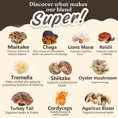 Suiyilary 10 Mushroom Coffee with Arabica w, Lion's Mane, Reishi, Mushroom Polysaccharides & More, Instant Mushrooms Powder for Focus, Immunity Boost, - dailyvitalstore