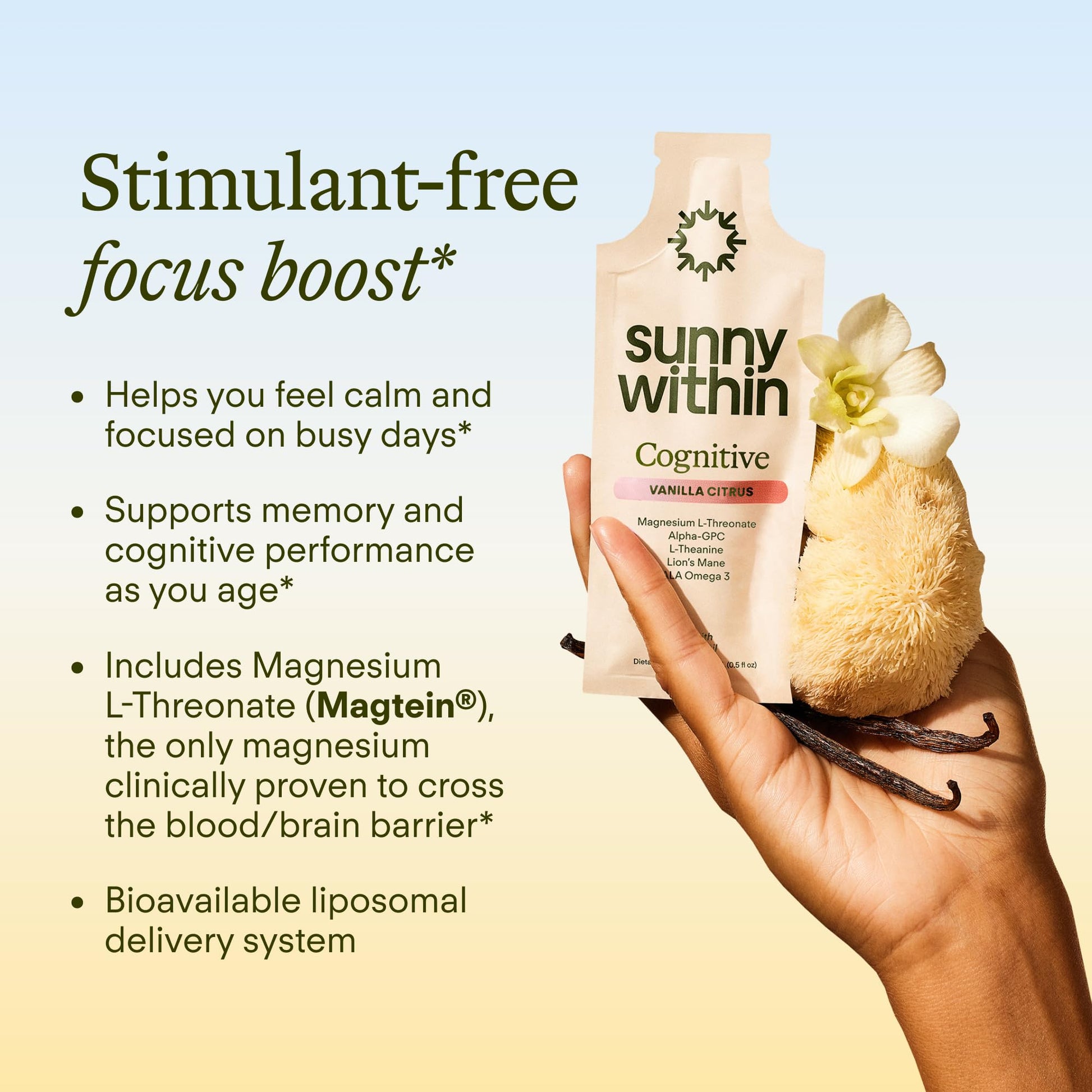 Sunny Within - Brain Health Supplement - Magnesium L-Threonate from Magtein®, Lion’s Mane, Alpha GPC, L-Theanine, ALA & Avocado Oil - Focus, Mood & Memory Support* - 30 Daily Vegan Pouches - dailyvitalstore